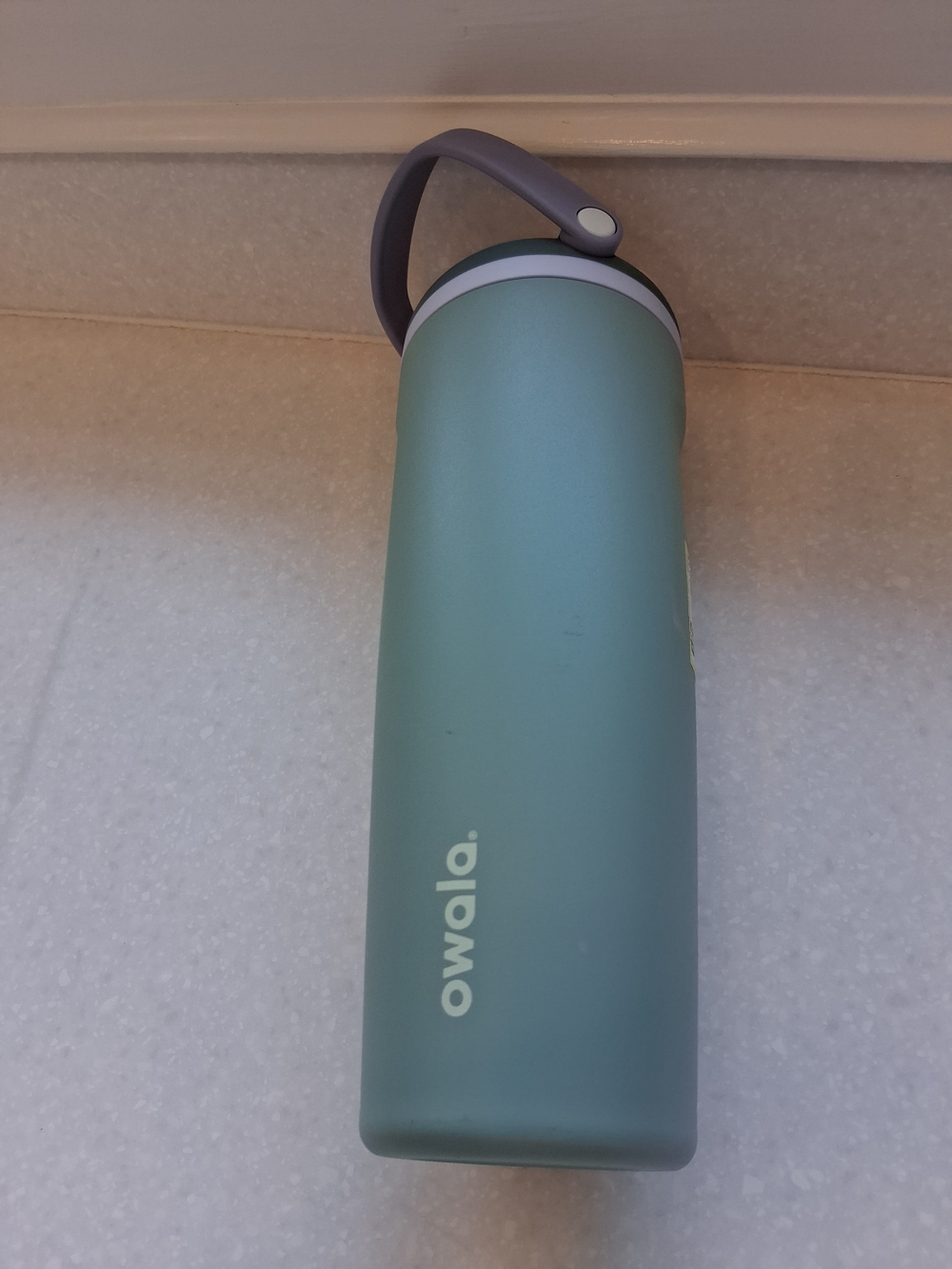 Owala Sage Green Insulated Water Bottle with Carry Handle
